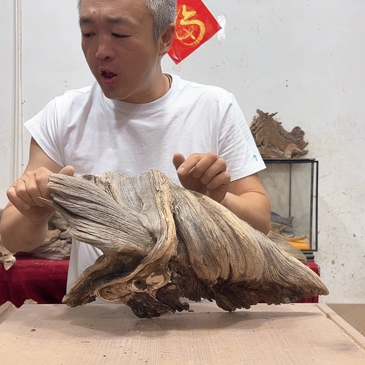 柏木平*我们的生活也是如此吧哈哈我