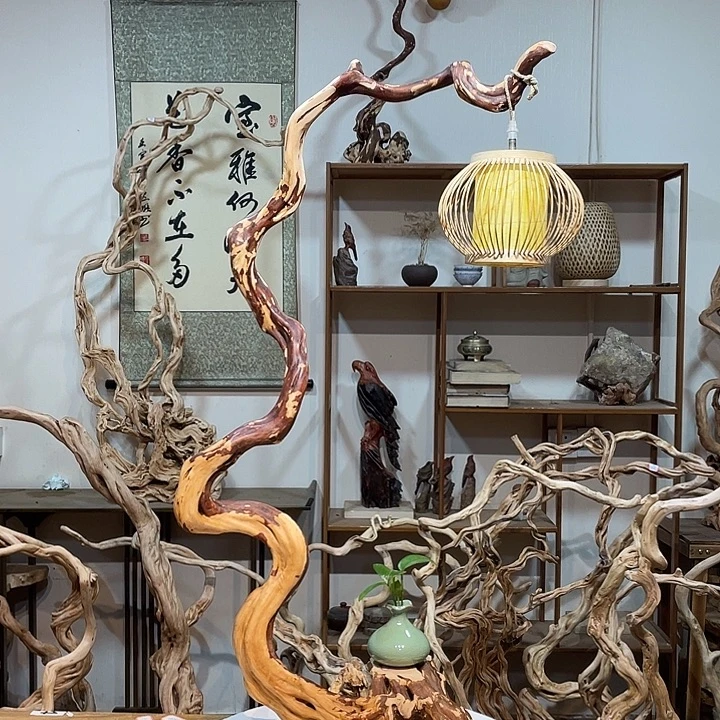 香榧木杜鹃根天然根艺4