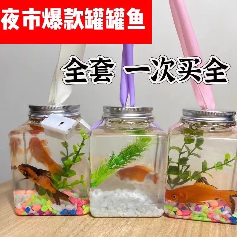 网红罐罐鱼泡泡鱼发光鱼方形罐生态微景水草鱼缸摆摊神器夜市爆款