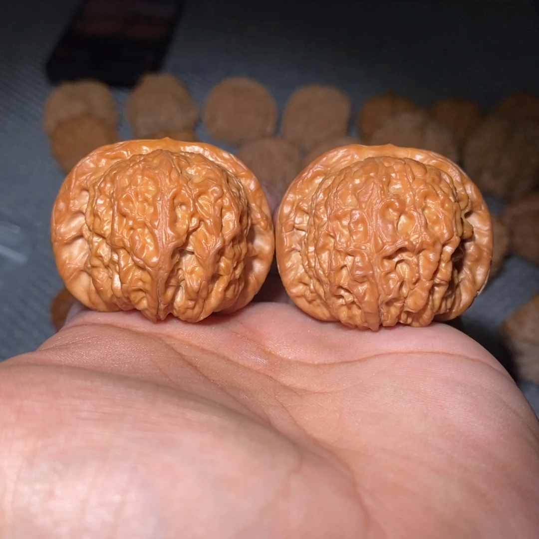 逆***星41尺血麒麟。
