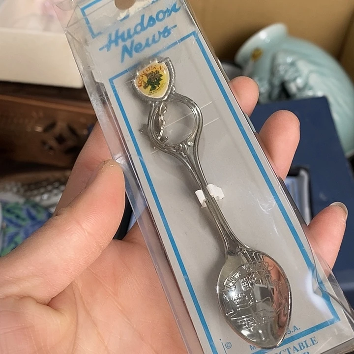 雅舍新货大漂亮V56