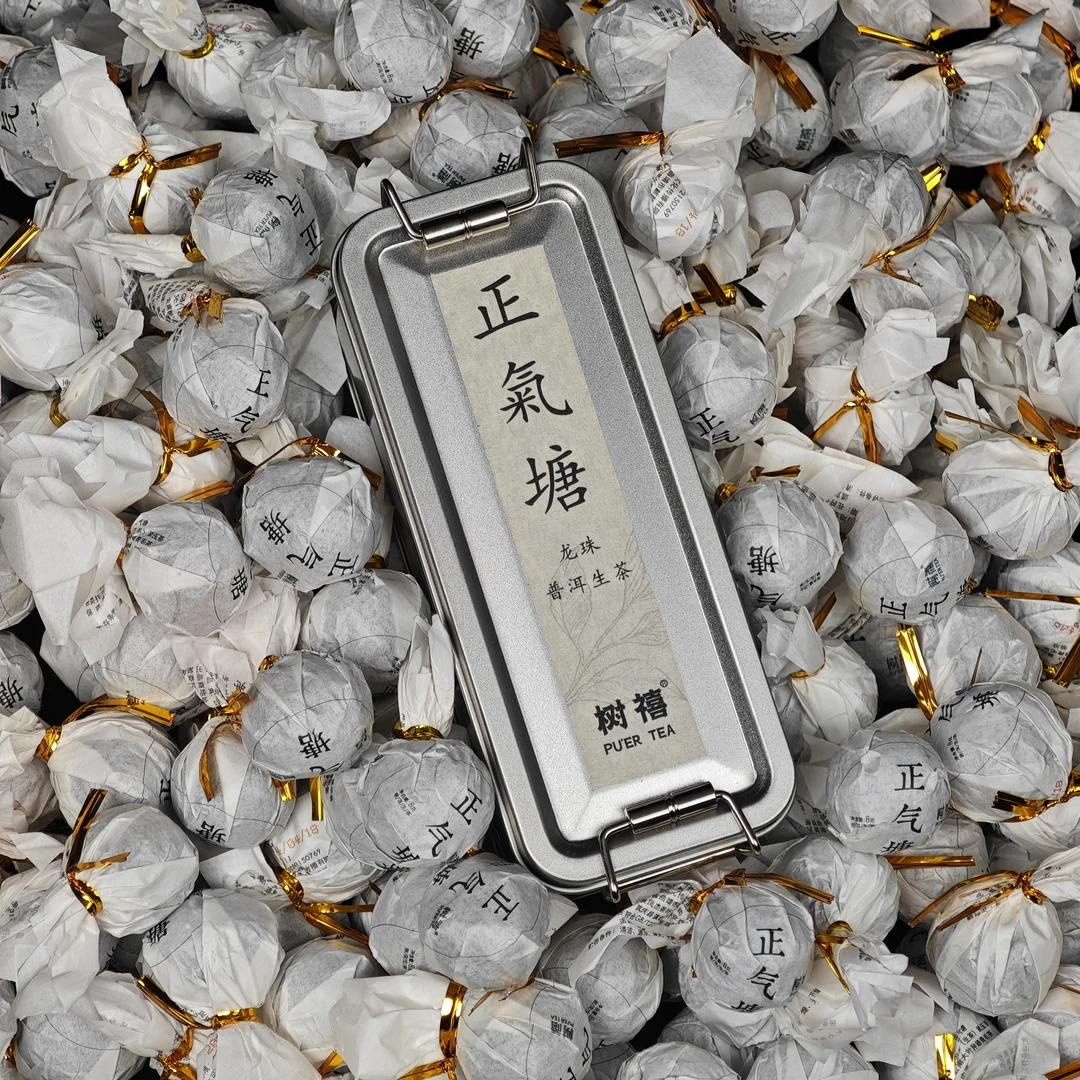 树禧正气塘·云南临沧普洱生茶龙珠2024年春茶滋味饱满