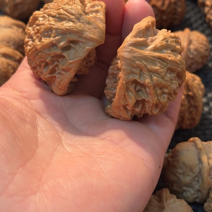 文玩核桃把件聚宝盆