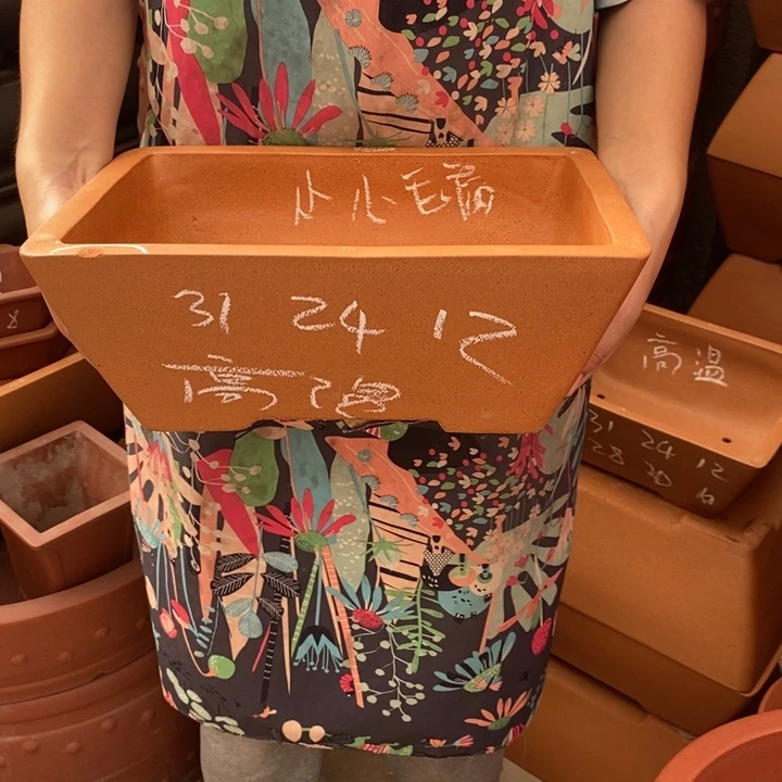 紫砂花盆只顾吃的