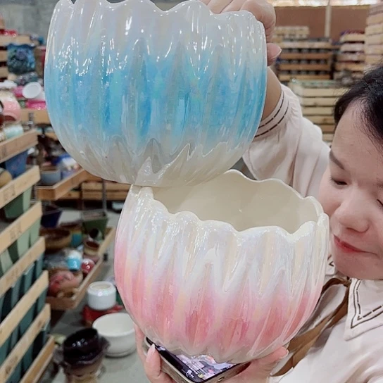 花盆凑单福利满10元发货！