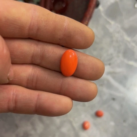 杂色豆（科檀/科特迪瓦檀木）小**潘