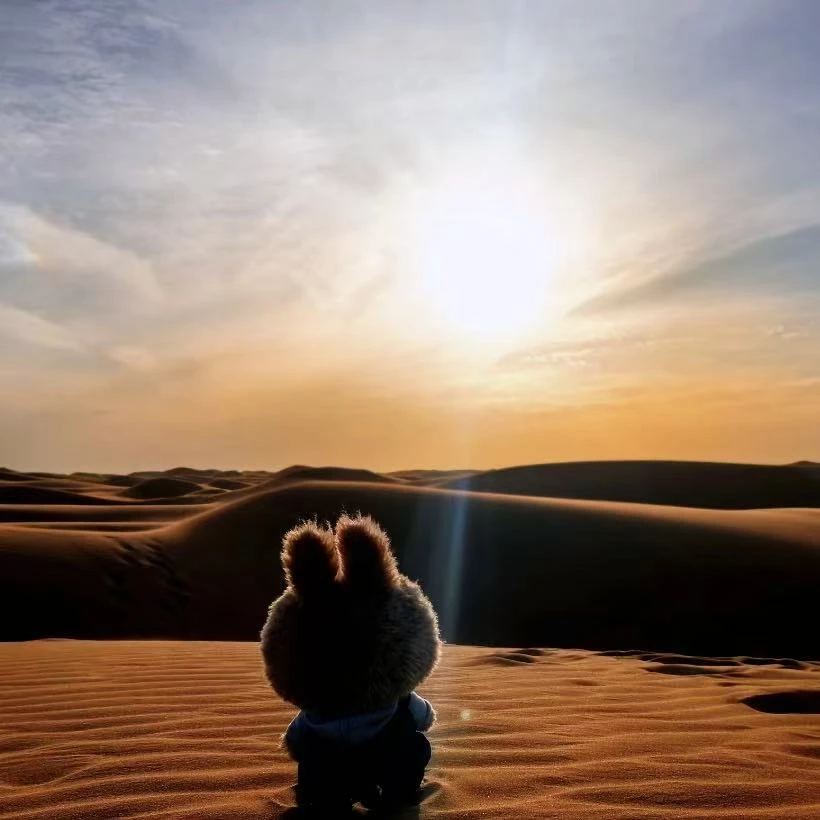 〔值播拆盒〕搪胶毛绒挂件 找太妃/栗子 150墙体版 盲盒