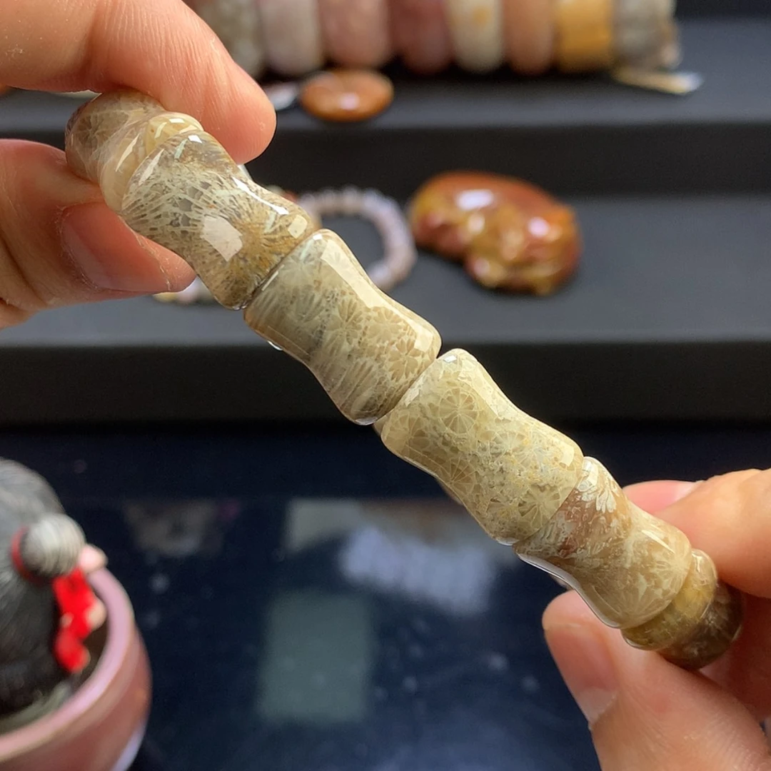 【闪购商品】硅化珊瑚（珊瑚玉）未镶嵌颈饰1号福利竹节