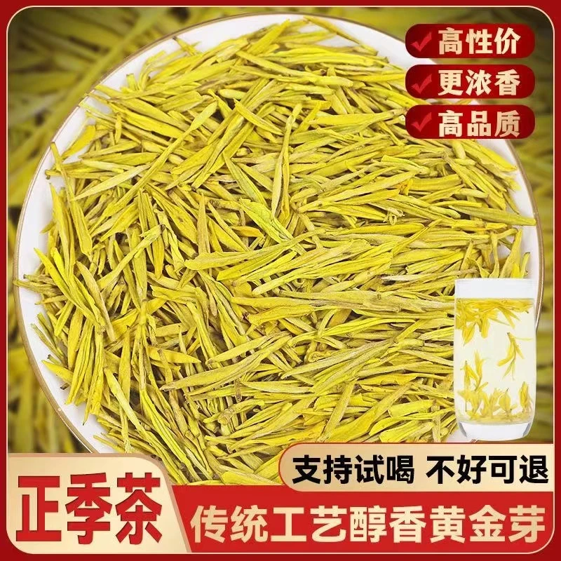 【98】2025新茶（黄金芽）茶叶绿茶豆香味好茶