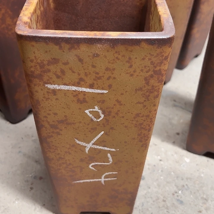 wwwww鹅鹅鹅鹅鹅鹅