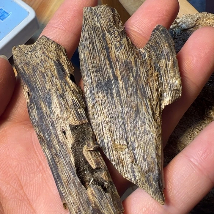 沉香碎屑沉香9号纯天然原料虫漏11克紫棋