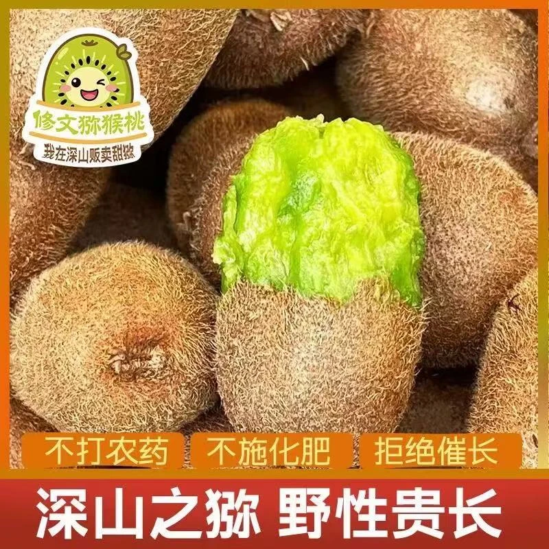 【30枚】修文贵长绿心猕猴桃新鲜现摘现发