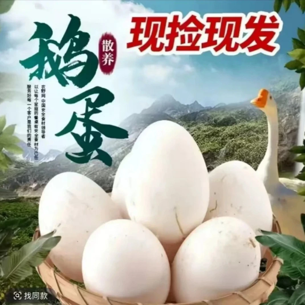 【买10枚送10枚】土鹅蛋正宗农家散养孕妇散养新杂粮喂养老人小孩
