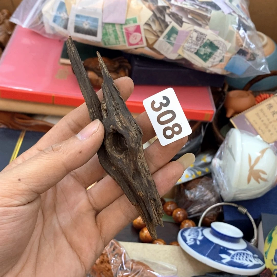 瓷片新号开播福利多多