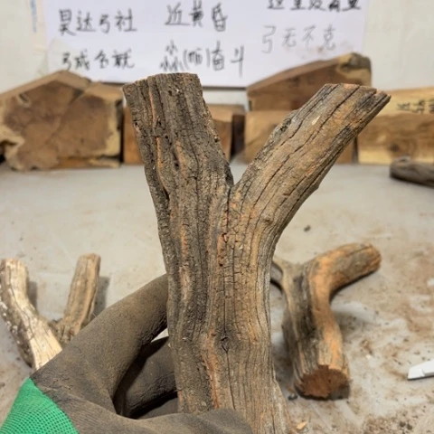 大果紫檀（缅甸花梨）淡**尘