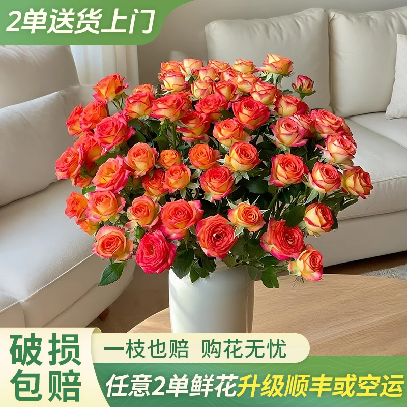 【大聪明卖花】爱丽丝多头玫瑰-任意两单鲜花升级快递-元旦福利