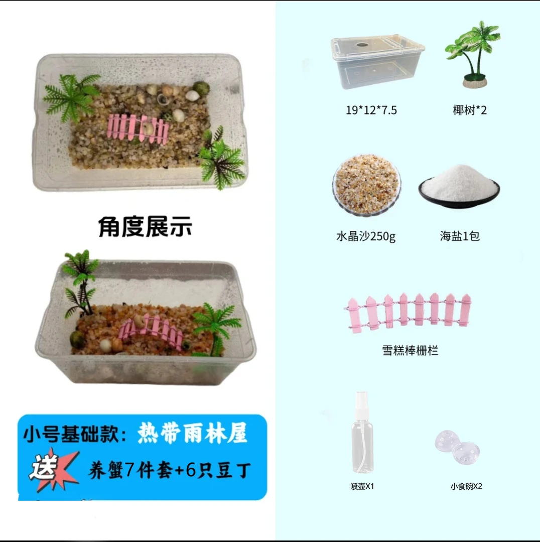 寄居蟹豆丁饲养盒基础款套餐包含7只蟹包活5只