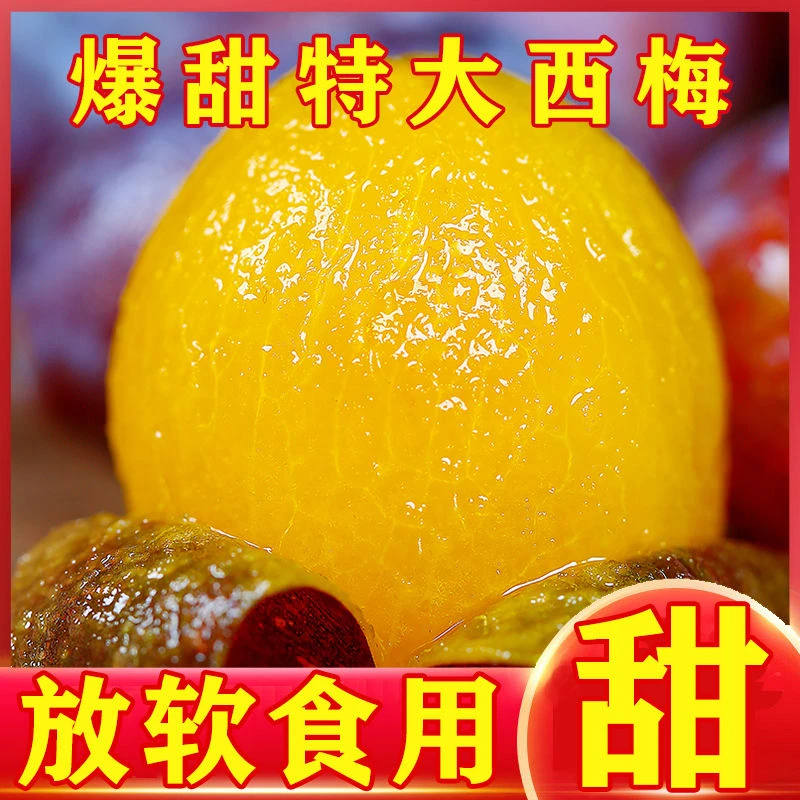 【当天采摘】西梅当季孕妇水果四川甜西梅鲜果女神李子梅子整箱包邮