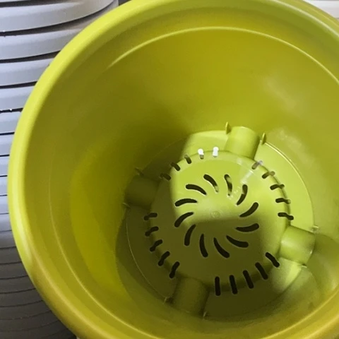 树脂四季4号果绿带托8套特价