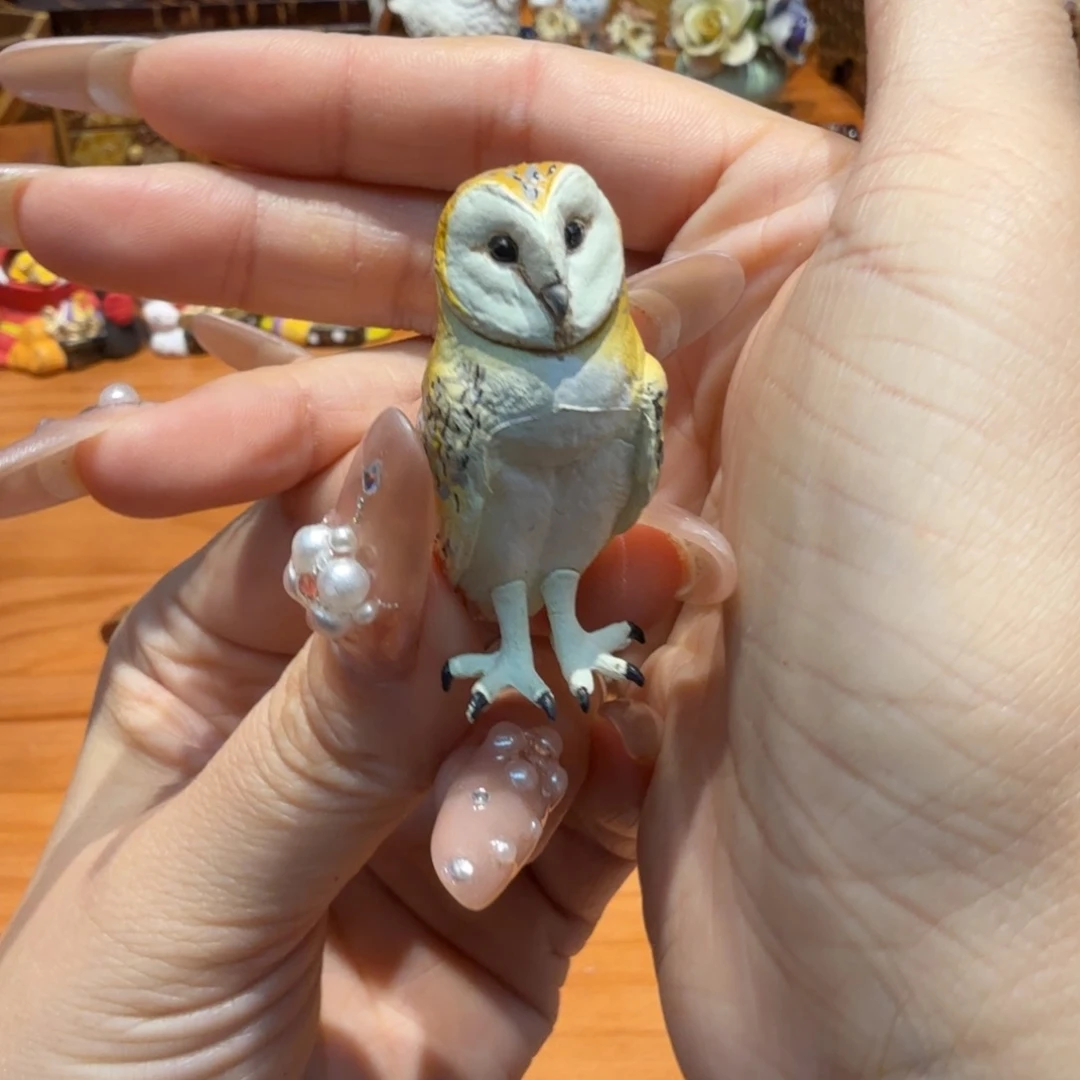 哦哦哦哦哦哦哦哦哦哦哦