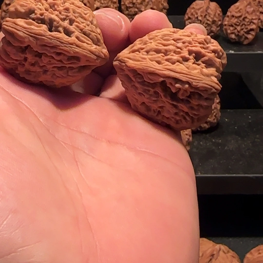 桃核把件涿鹿南疆39