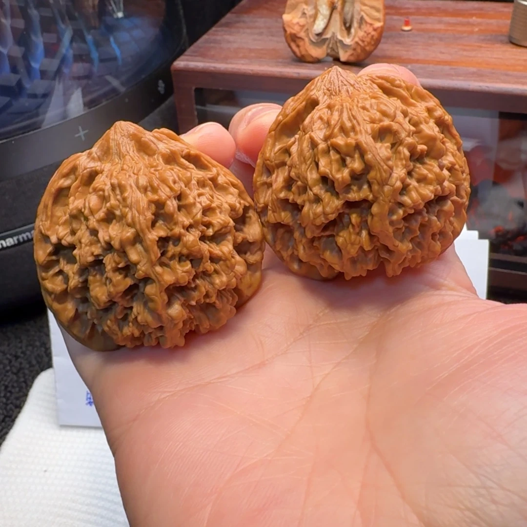 核桃44+全品满天星