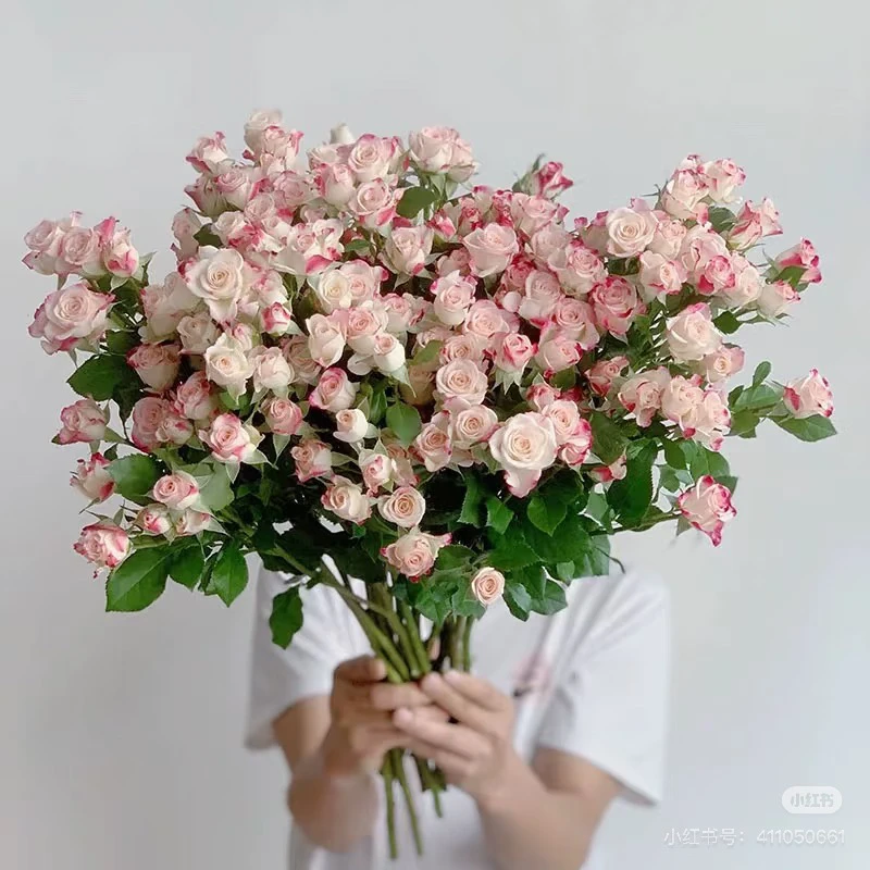 折射多头玫瑰泡泡