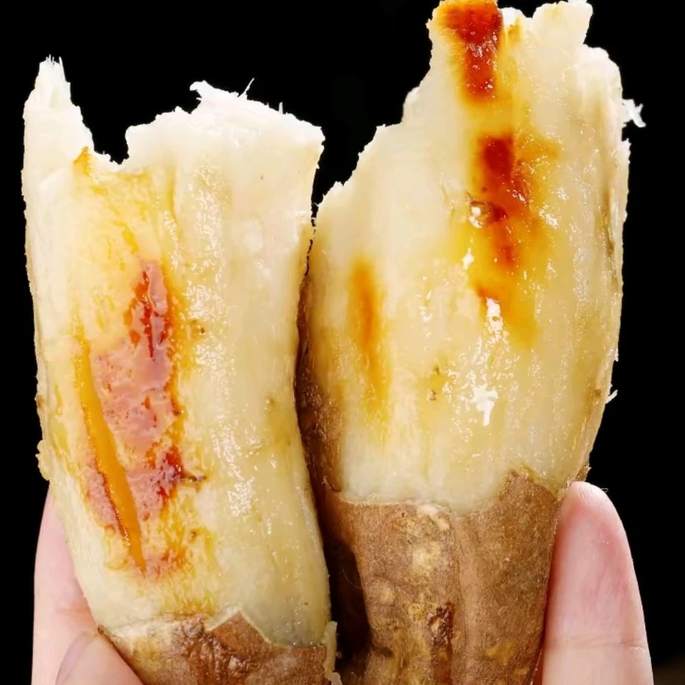 [现挖现发]新鲜现挖白心哈密蜜薯软糯香甜健康美味的地瓜番薯