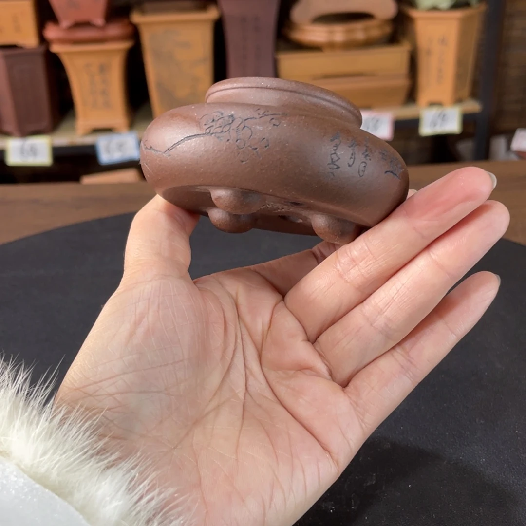 花盆紫砂在干嘛你