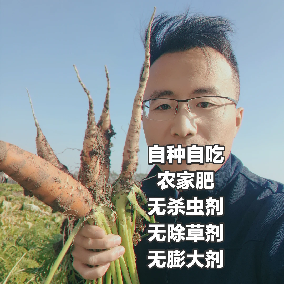 老马自种自吃原生态种植胡萝卜自留种农家肥无农残无清洗3斤包邮