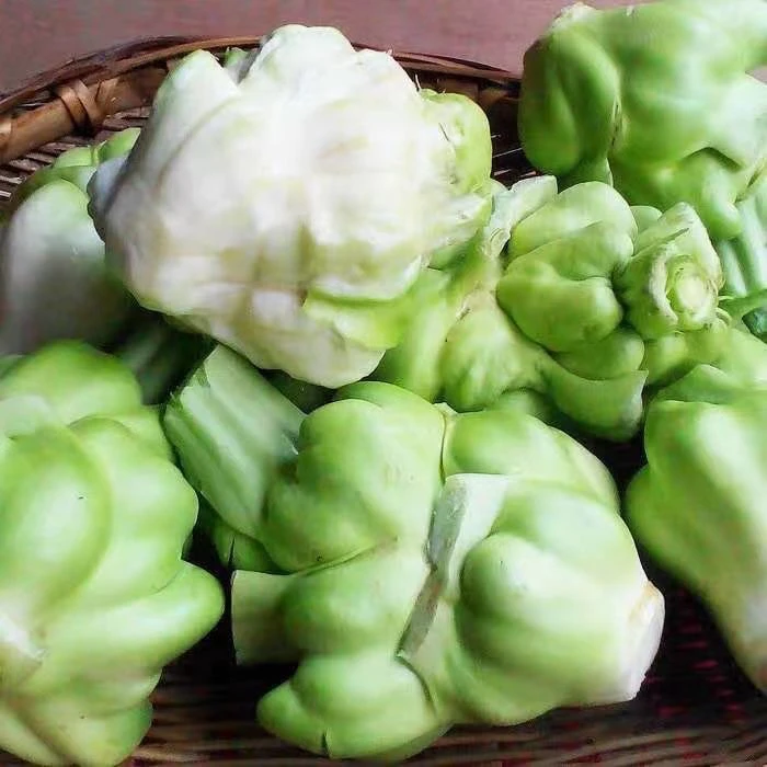 【南县特产】新鲜榨菜头农家自种菱角菜羊角菜现挖现发新鲜蔬菜