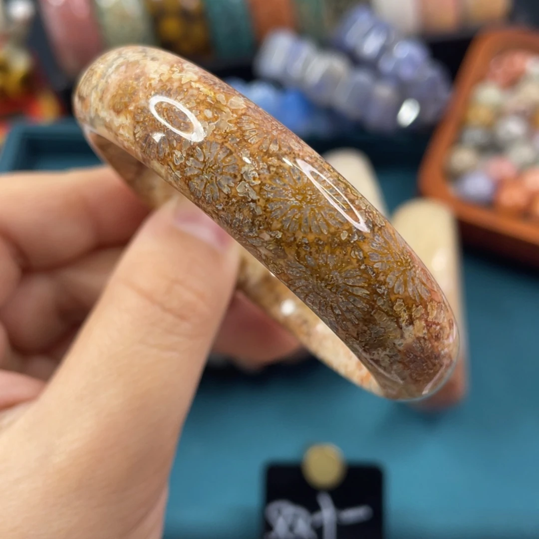 未镶嵌手镯硅化玉