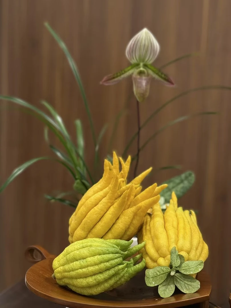 【闻香佛手柑】 高端类花材 新鲜云南基地直发