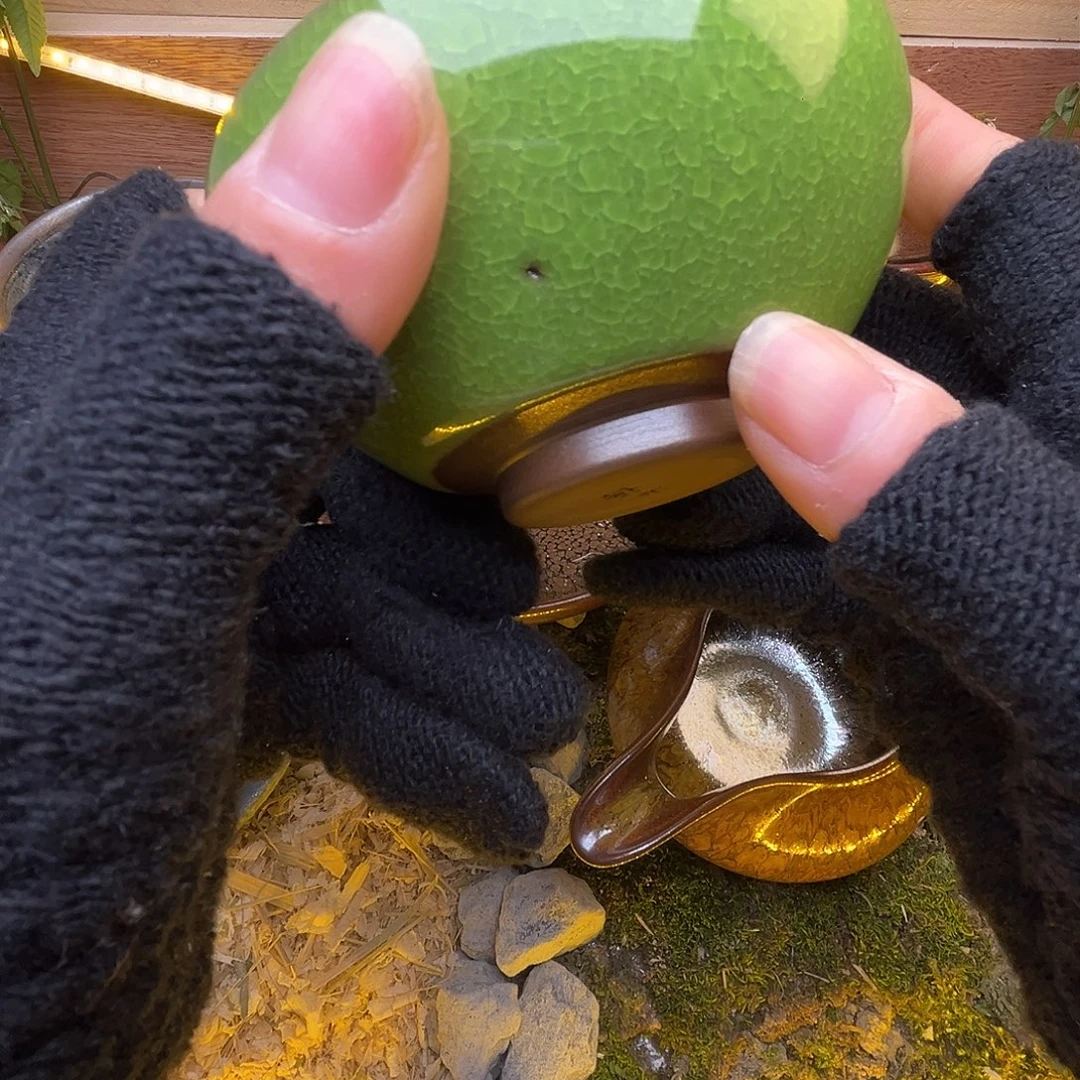 茶盏在你面前都没事吗就