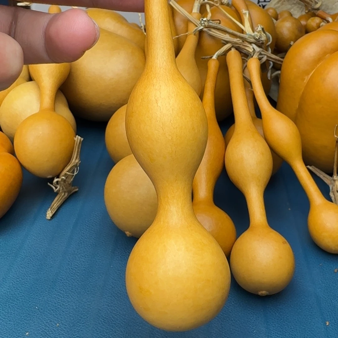 可***冰葫芦葫芦葫芦葫芦葫芦