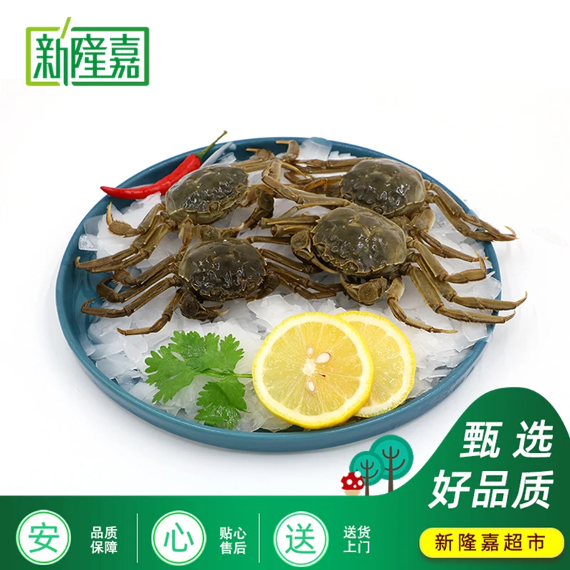 【天丰店 】 鲜活 河蟹公 2两左右/只 2斤/3斤/5斤(送货上门)