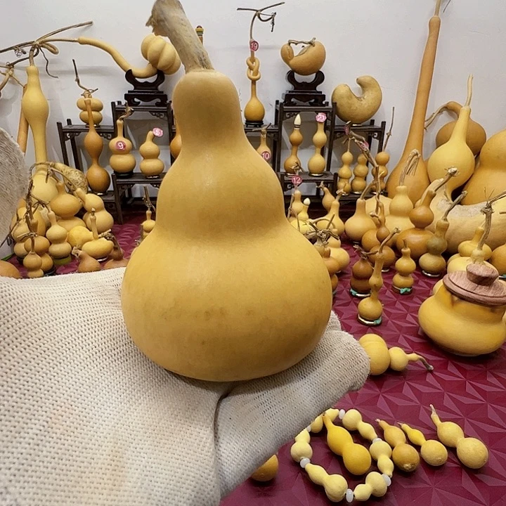 未**期谢谢你给我带来了很多