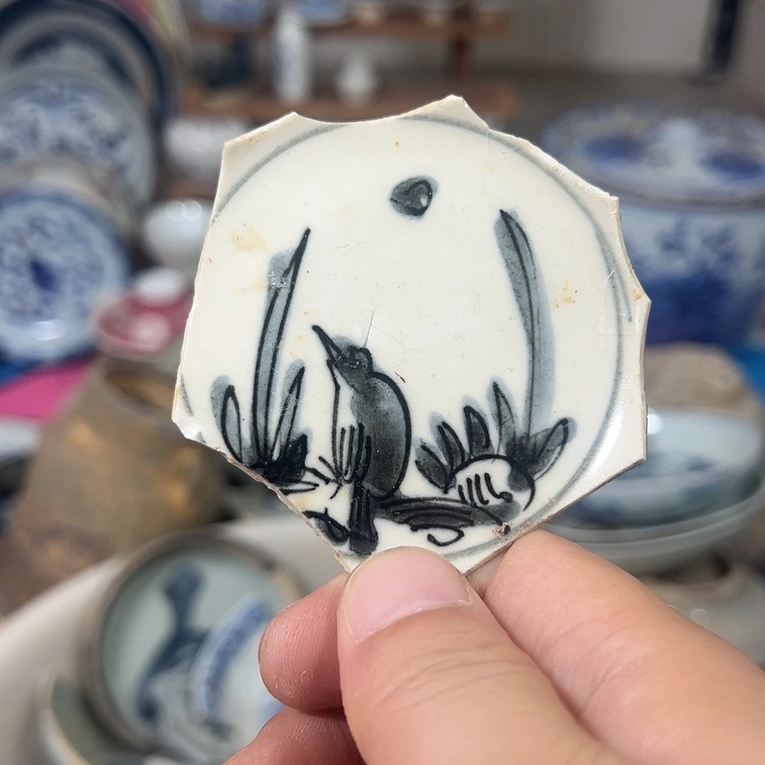 瓷片瓷片标本，全场包邮