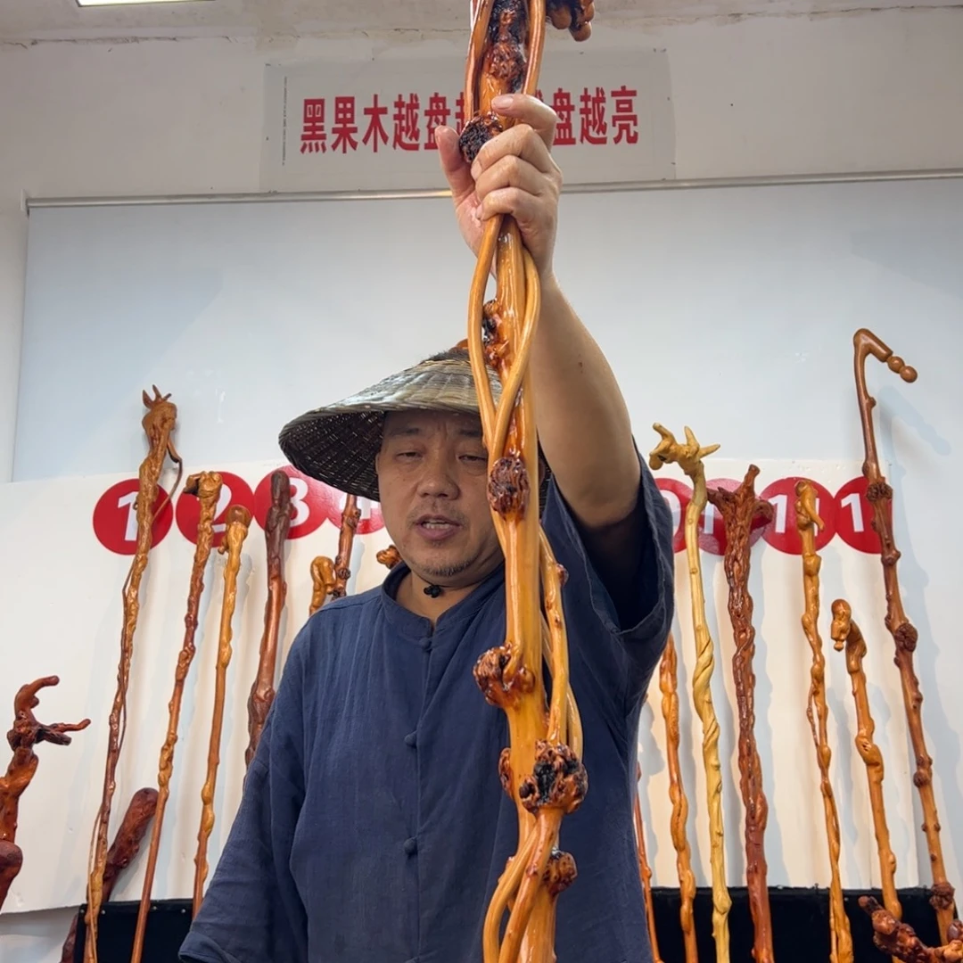 待***宾黑果木其他黑果木752