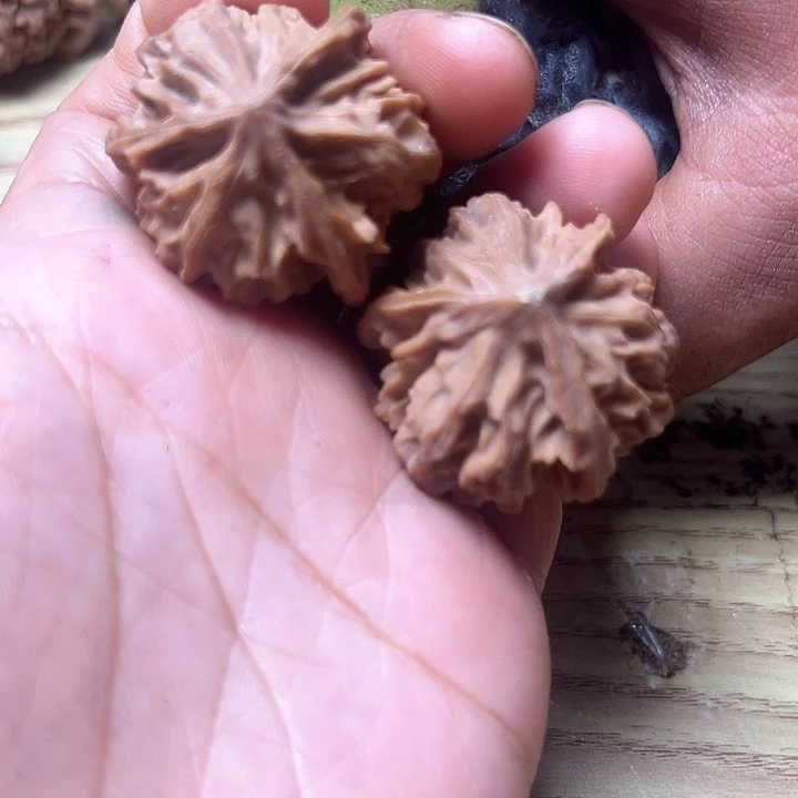 文玩核桃把件三棱