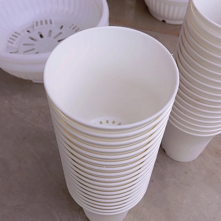 白万象口13高15一组3个