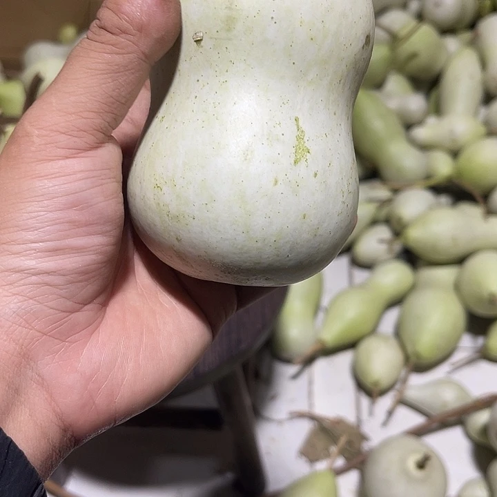 非洲紫檀（红花梨）姗***咪