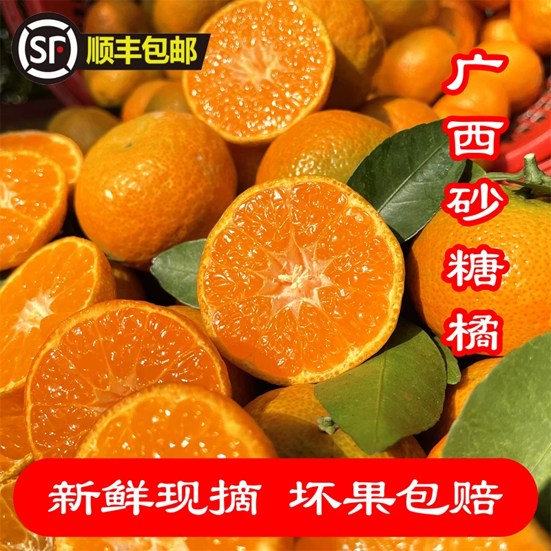 【顺丰】正宗广西沙糖桔皮薄多汁新鲜现摘应季水果砂糖桔橘子产地