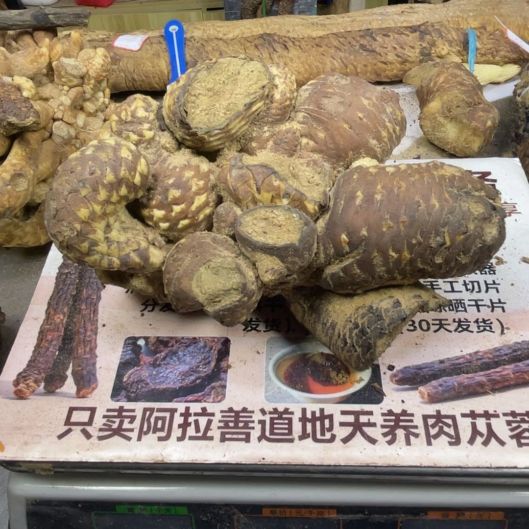 中国大陆老根胎盘1495克