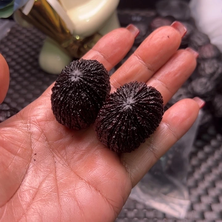 文玩地闷猴头38尺寸