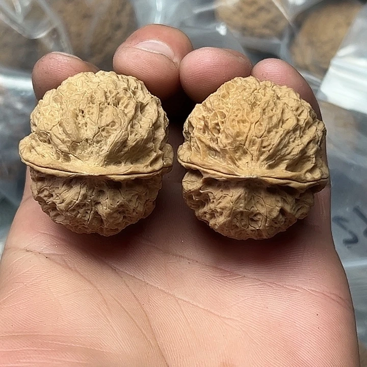 核桃63号星痕金蟾39尺