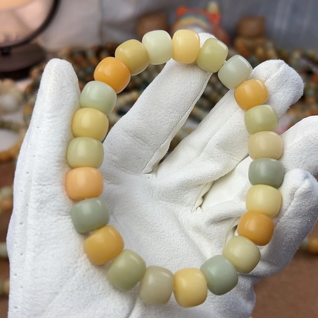 菩提根/象牙果手串13干磨老料稀有色小墩墩910