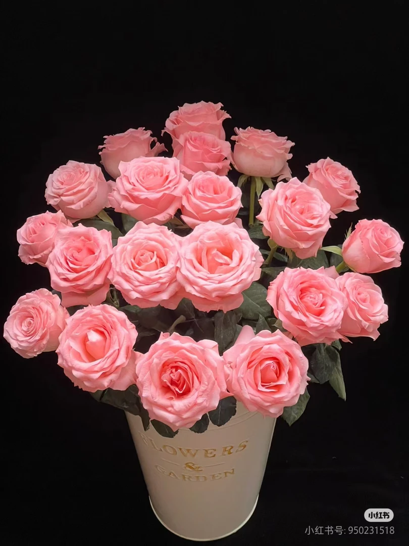 A1【戴安娜 香槟 橙色芭比 洋桔梗 粉色多头康乃馨 黄莺】