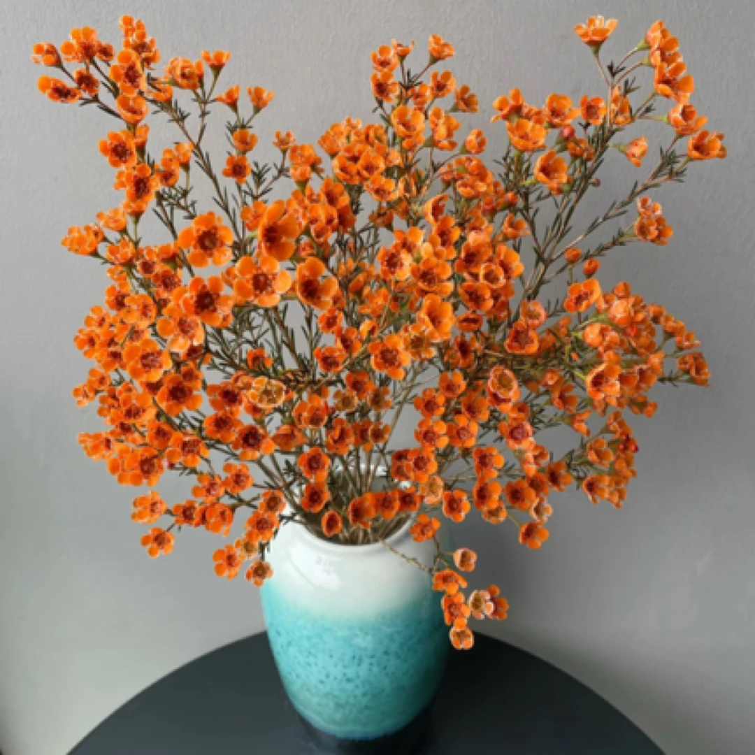 【腊梅橙】1扎 居家鲜花 家庭插瓶鲜花 2单起包邮 今天拍明天到