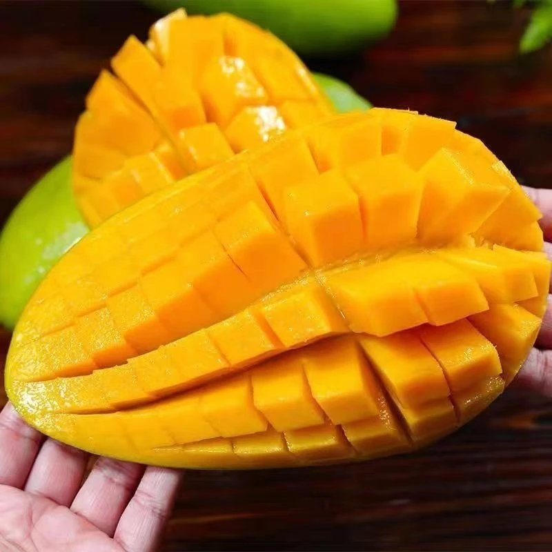 XD【放软食用】四川攀枝花凯特芒果当季水果带箱9-10斤